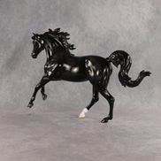 Beauty OOAK FCM Harmony by Madi Wiseman 6.12.2026 GS26