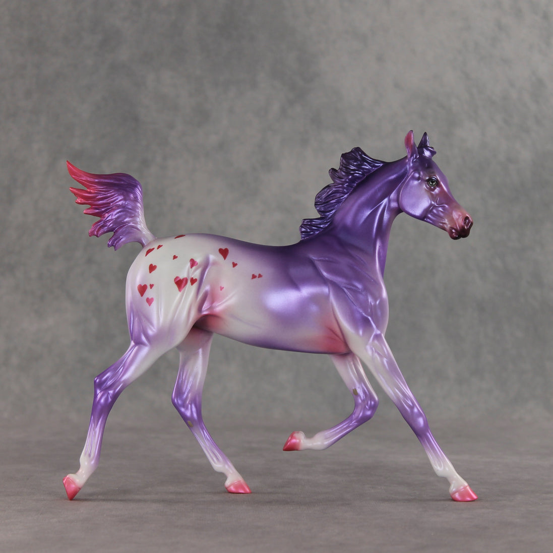Beloved OOAK Arabian Yearling by Jess Hamill VV26