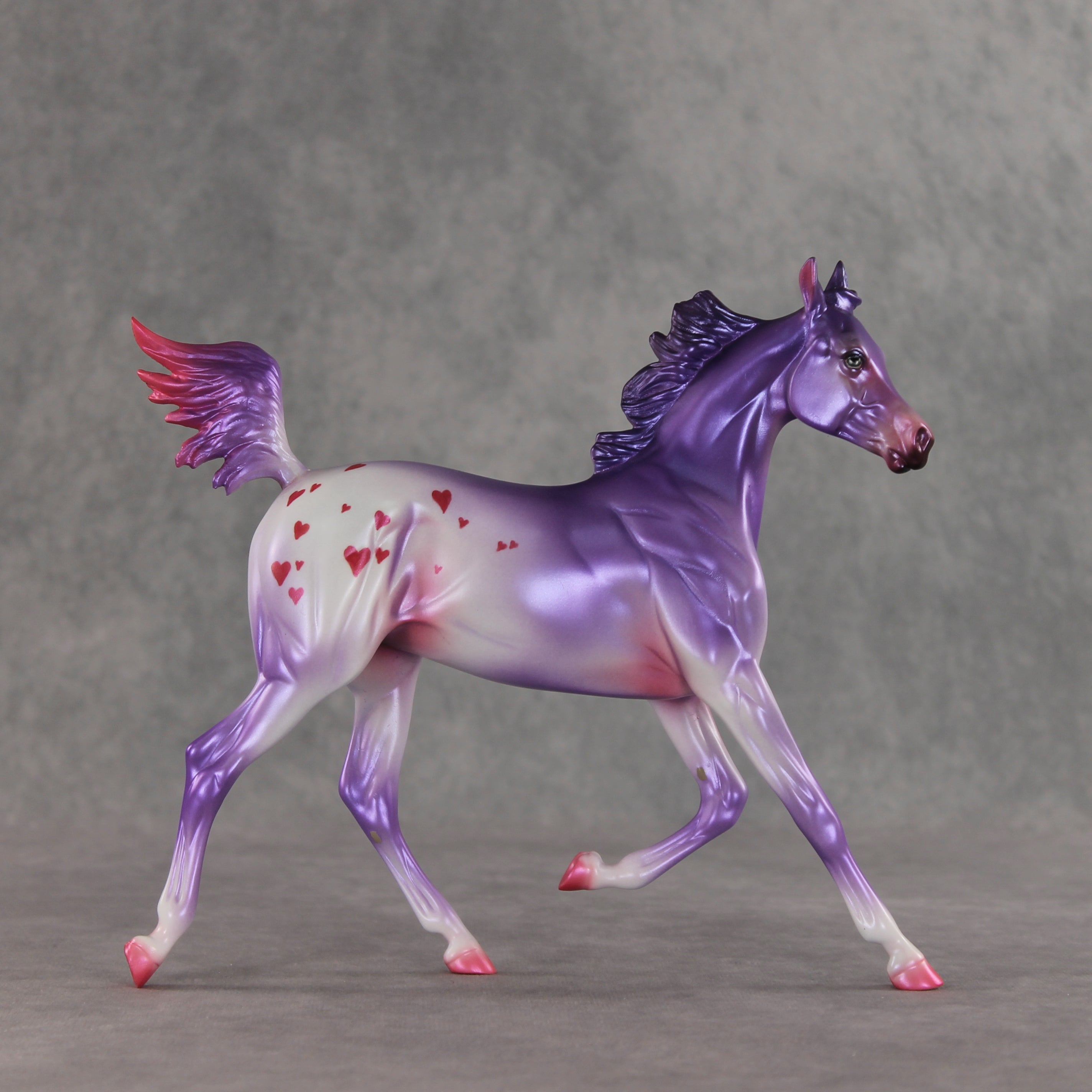 Beloved OOAK Arabian Yearling by Jess Hamill VV26