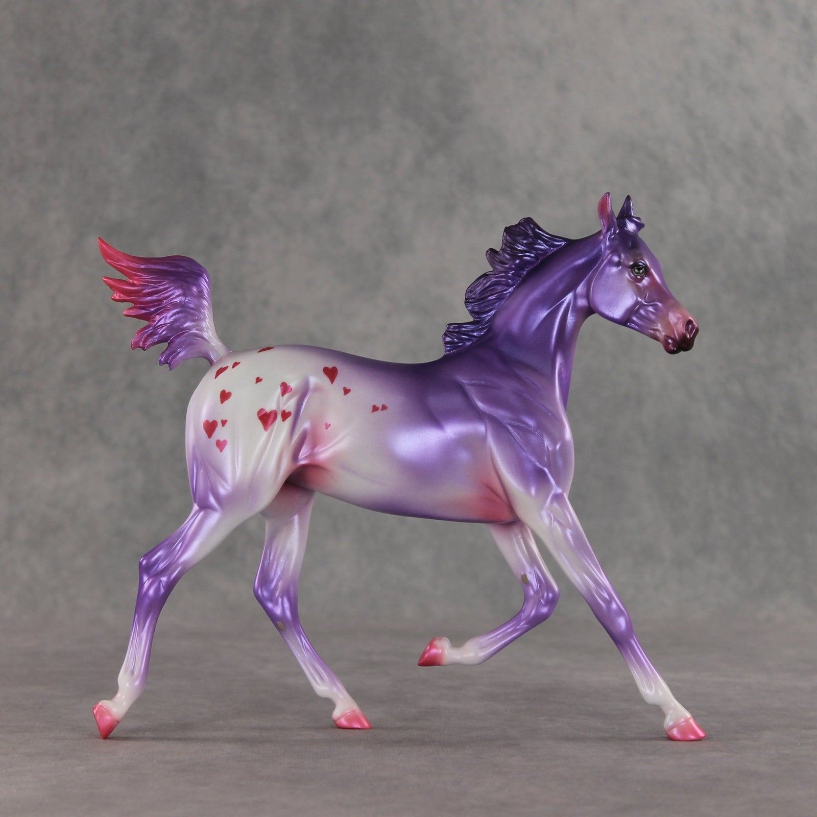 Beloved OOAK Arabian Yearling by Jess Hamill VV26