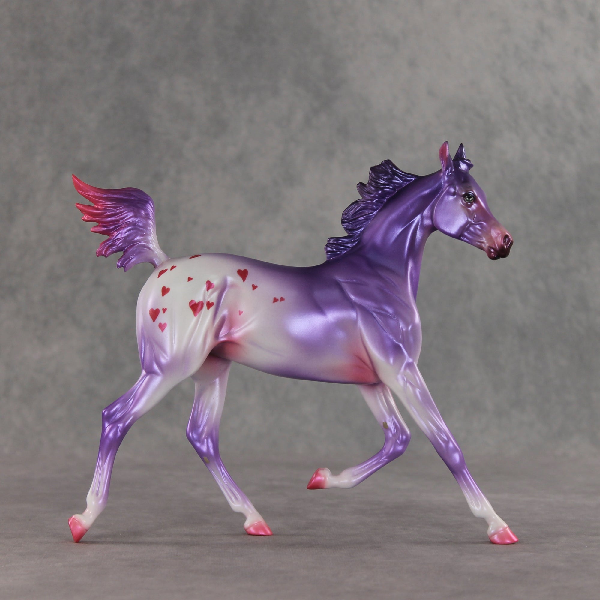 Beloved OOAK Arabian Yearling by Jess Hamill VV26