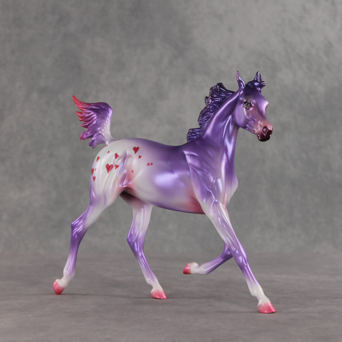 Beloved OOAK Arabian Yearling by Jess Hamill VV26