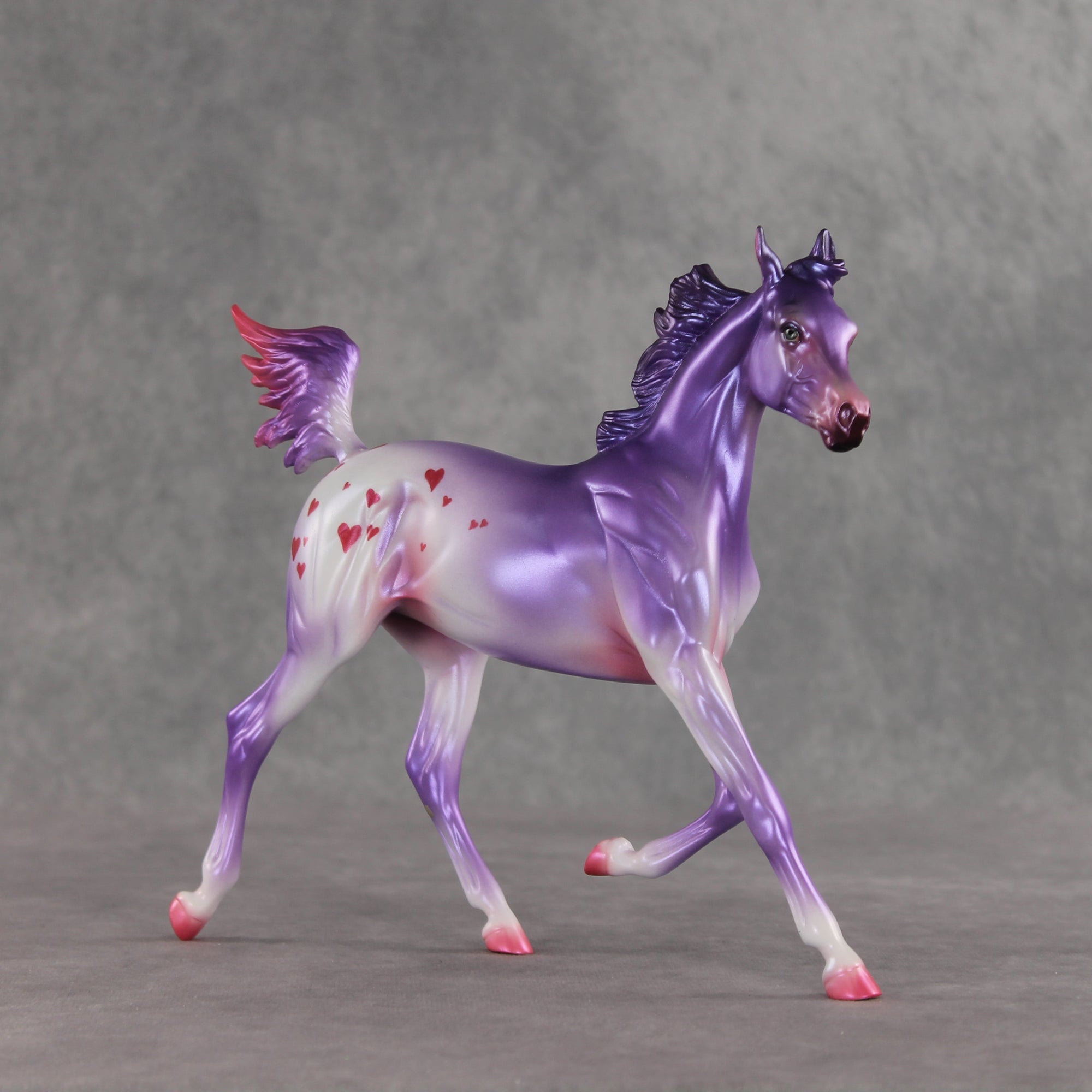 Beloved OOAK Arabian Yearling by Jess Hamill VV26