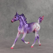 Beloved OOAK Arabian Yearling by Jess Hamill VV26