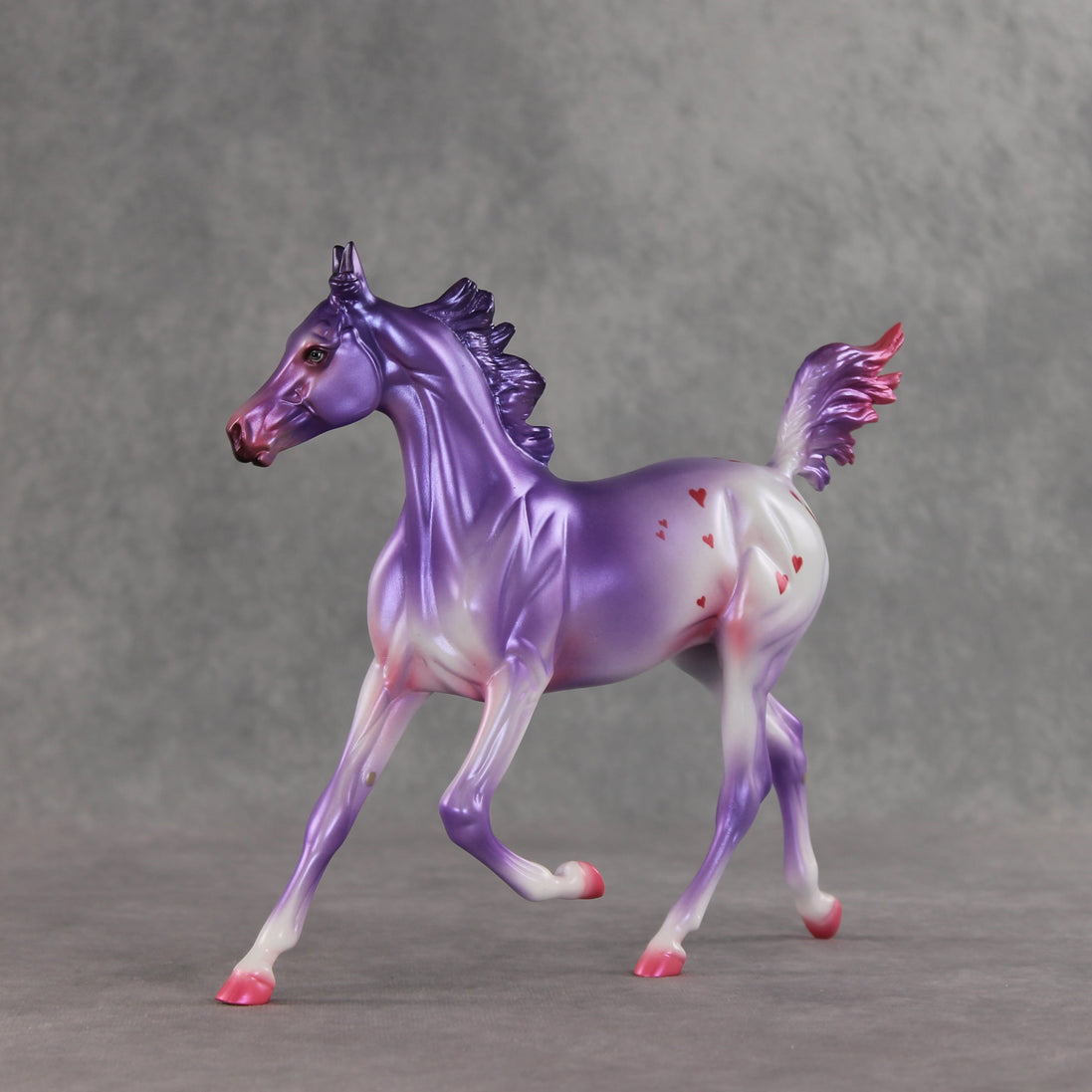 Beloved OOAK Arabian Yearling by Jess Hamill VV26