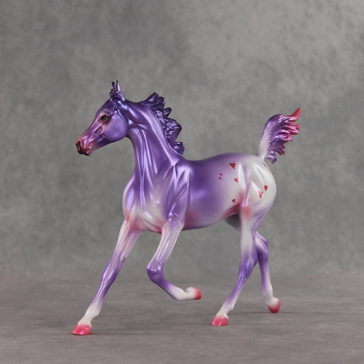 Beloved OOAK Arabian Yearling by Jess Hamill VV26