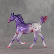 Beloved OOAK Arabian Yearling by Jess Hamill VV26