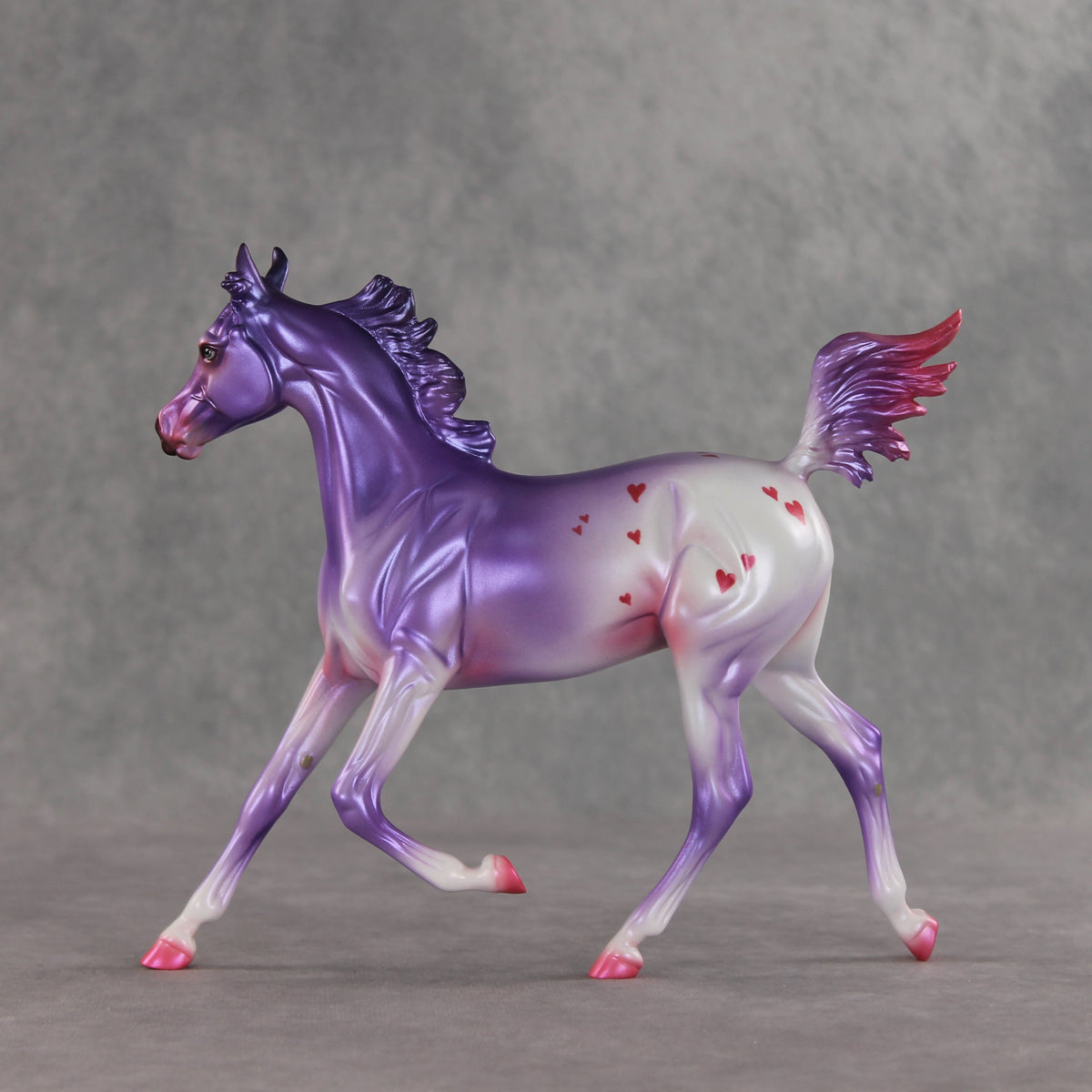 Beloved OOAK Arabian Yearling by Jess Hamill VV26