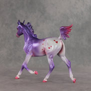 Beloved OOAK Arabian Yearling by Jess Hamill VV26