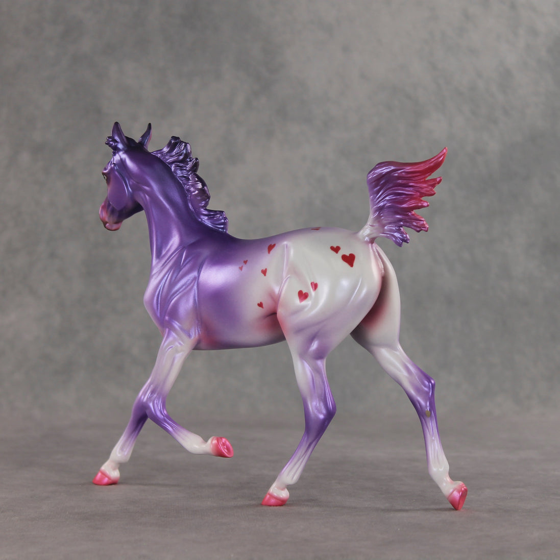 Beloved OOAK Arabian Yearling by Jess Hamill VV26