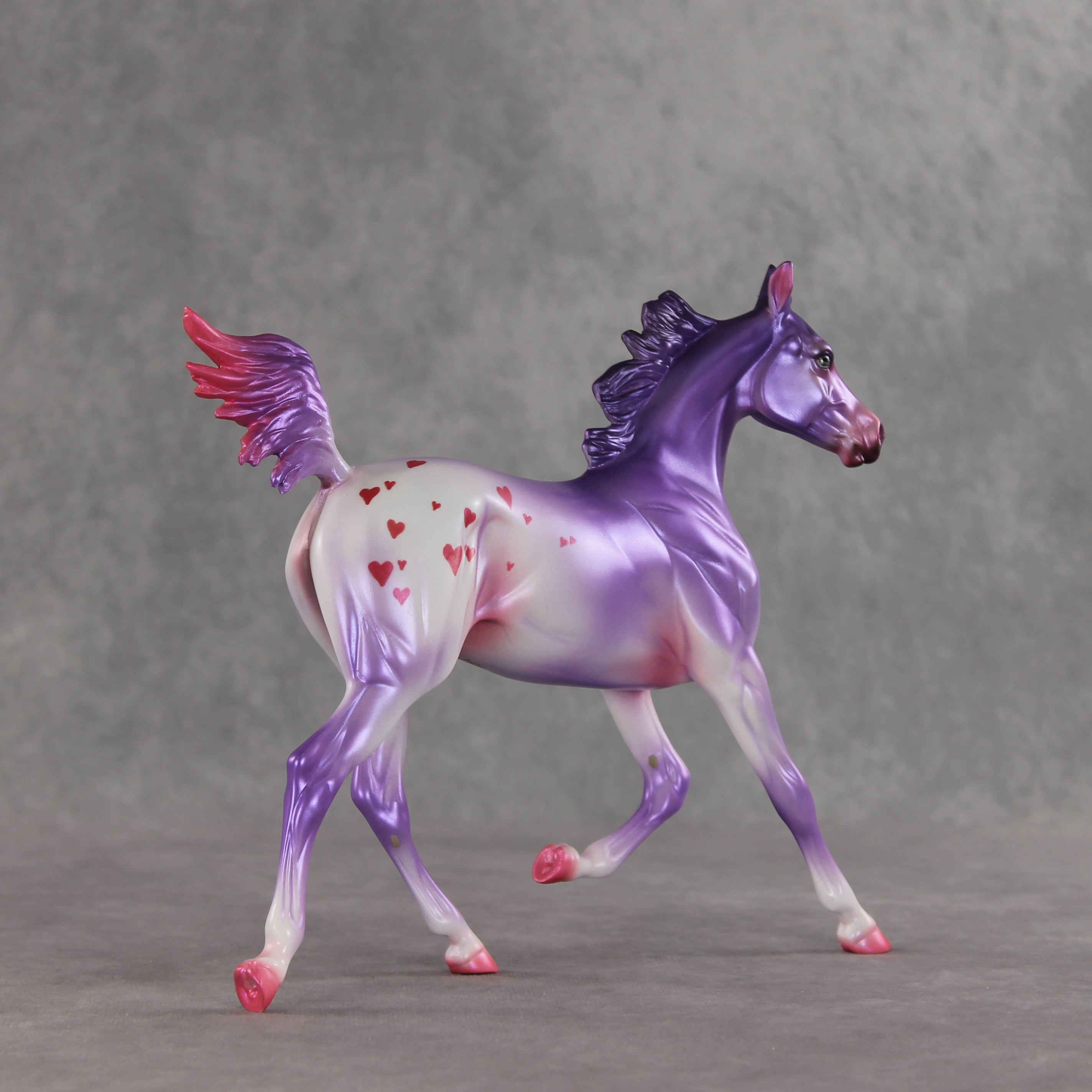 Beloved OOAK Arabian Yearling by Jess Hamill VV26