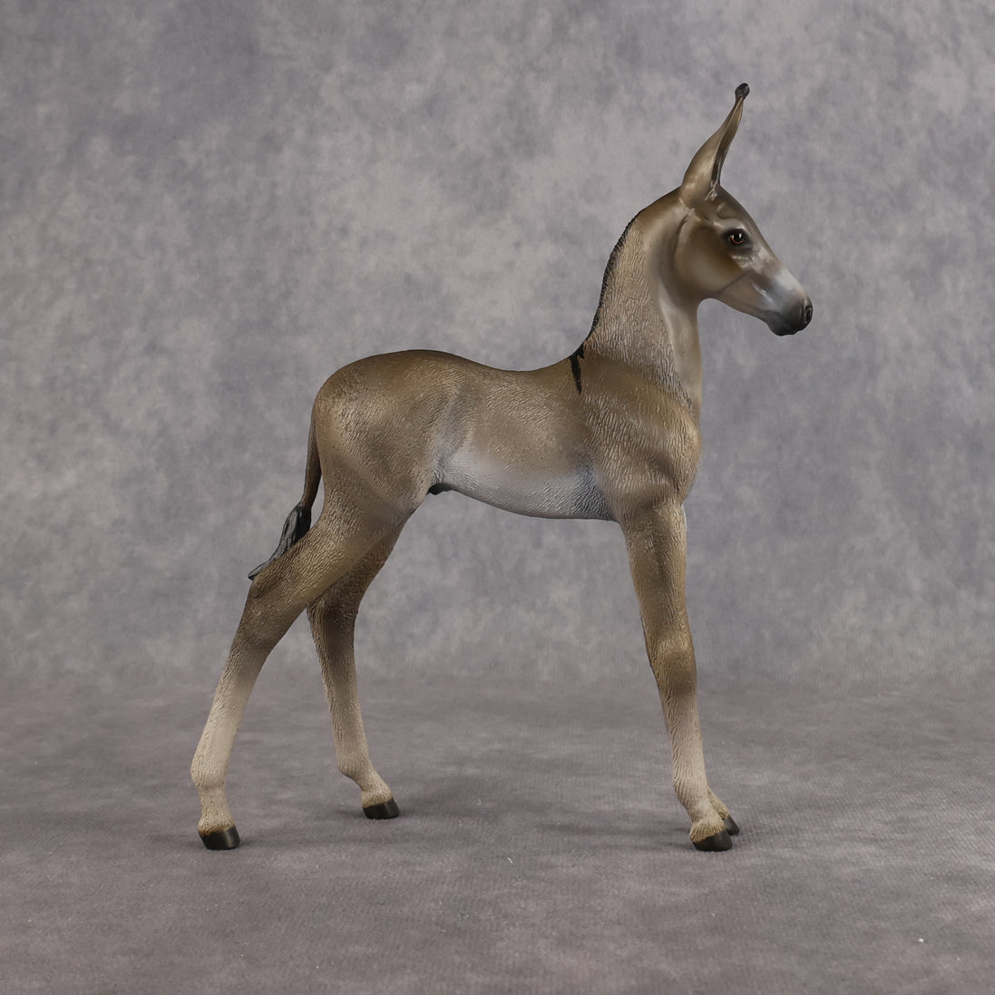 Benedito OOAK EFCM Arab Foal by Kristen Cermele Best Offer 10.13.2026