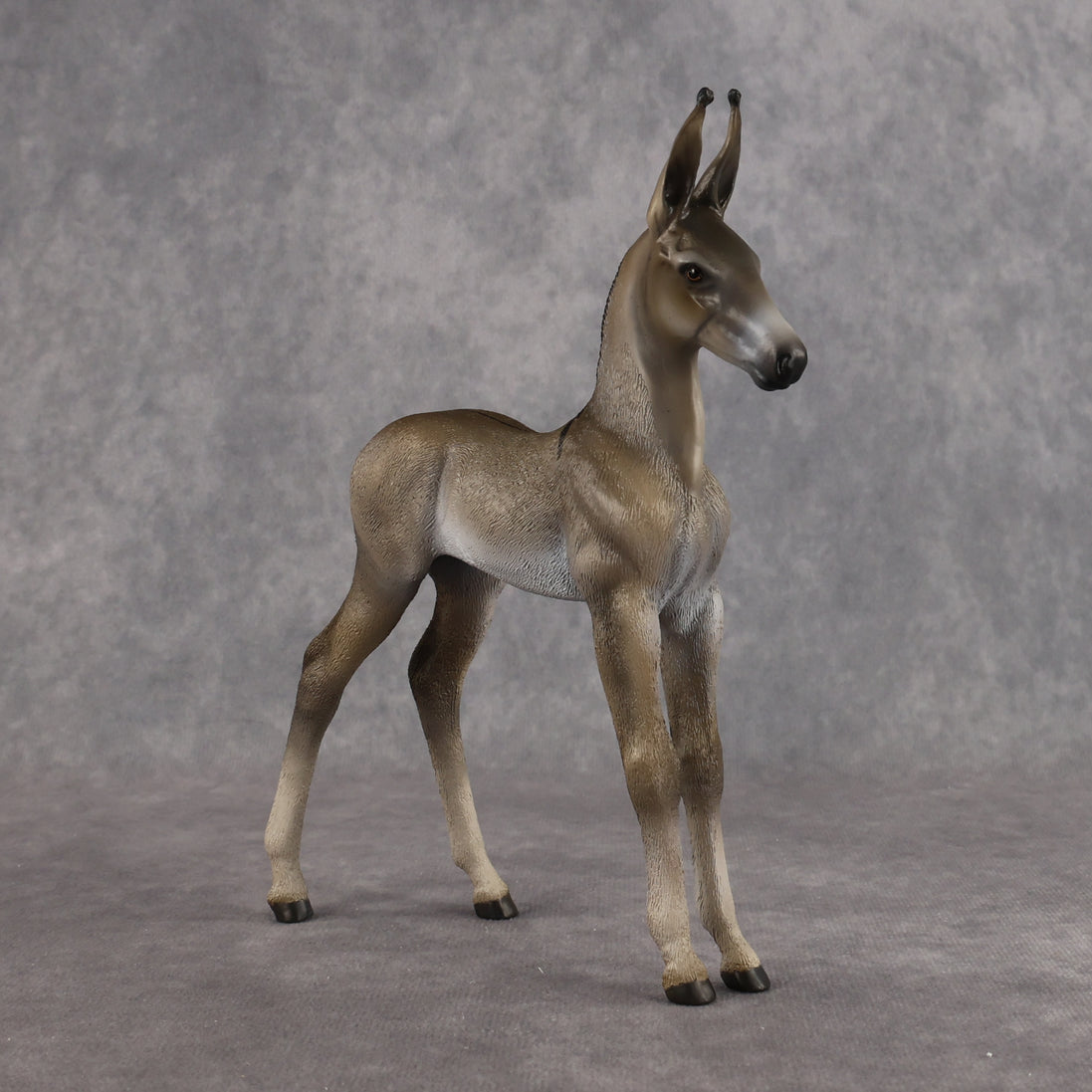 Benedito OOAK EFCM Arab Foal by Kristen Cermele Best Offer 10.13.2026
