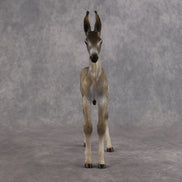 Benedito OOAK EFCM Arab Foal by Kristen Cermele Best Offer 10.13.2026