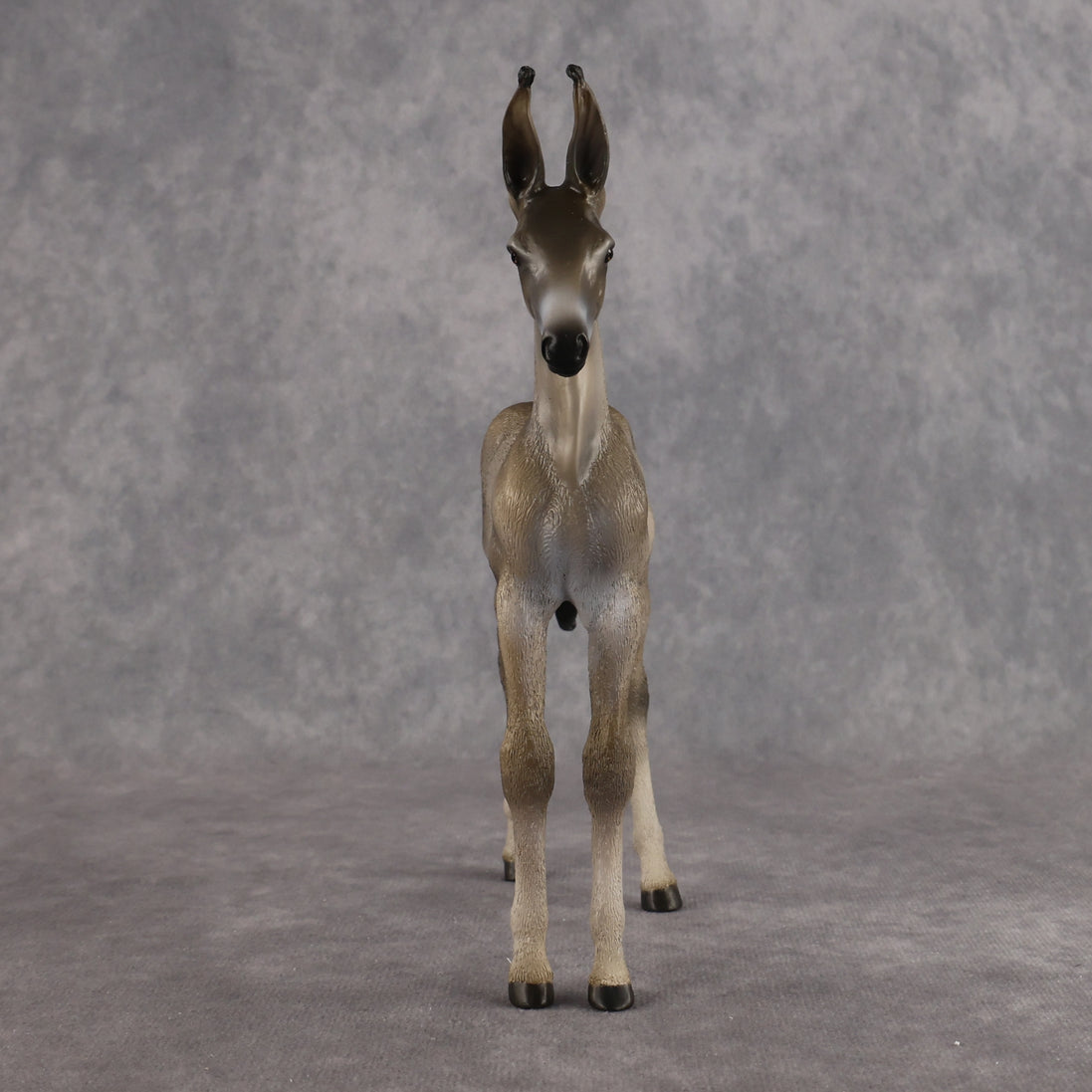 Benedito OOAK EFCM Arab Foal by Kristen Cermele Best Offer 10.13.2026