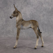 Benedito OOAK EFCM Arab Foal by Kristen Cermele Best Offer 10.13.2026