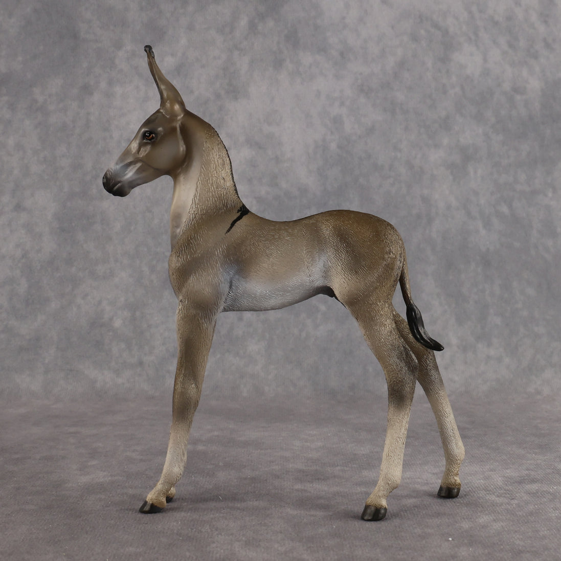 Benedito OOAK EFCM Arab Foal by Kristen Cermele Best Offer 10.13.2026