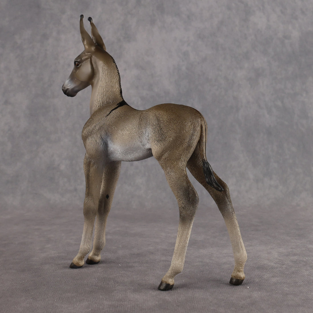 Benedito OOAK EFCM Arab Foal by Kristen Cermele Best Offer 10.13.2026