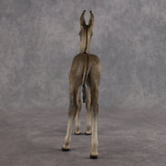 Benedito OOAK EFCM Arab Foal by Kristen Cermele Best Offer 10.13.2026