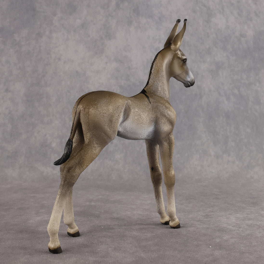 Benedito OOAK EFCM Arab Foal by Kristen Cermele Best Offer 10.13.2026