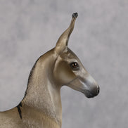 Benedito OOAK EFCM Arab Foal by Kristen Cermele Best Offer 10.13.2026