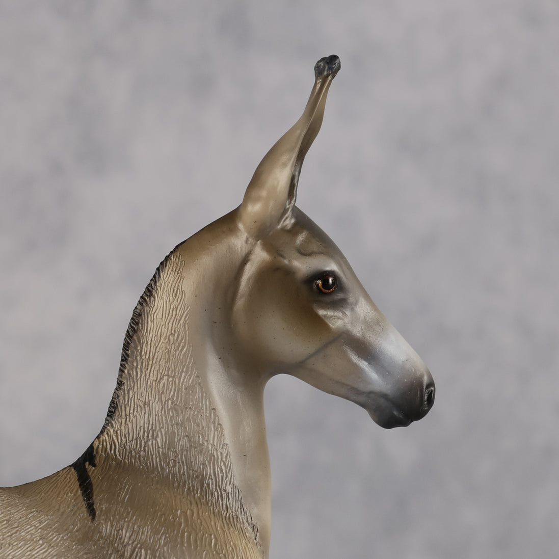 Benedito OOAK EFCM Arab Foal by Kristen Cermele Best Offer 10.13.2026