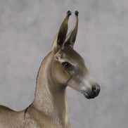 Benedito OOAK EFCM Arab Foal by Kristen Cermele Best Offer 10.13.2026