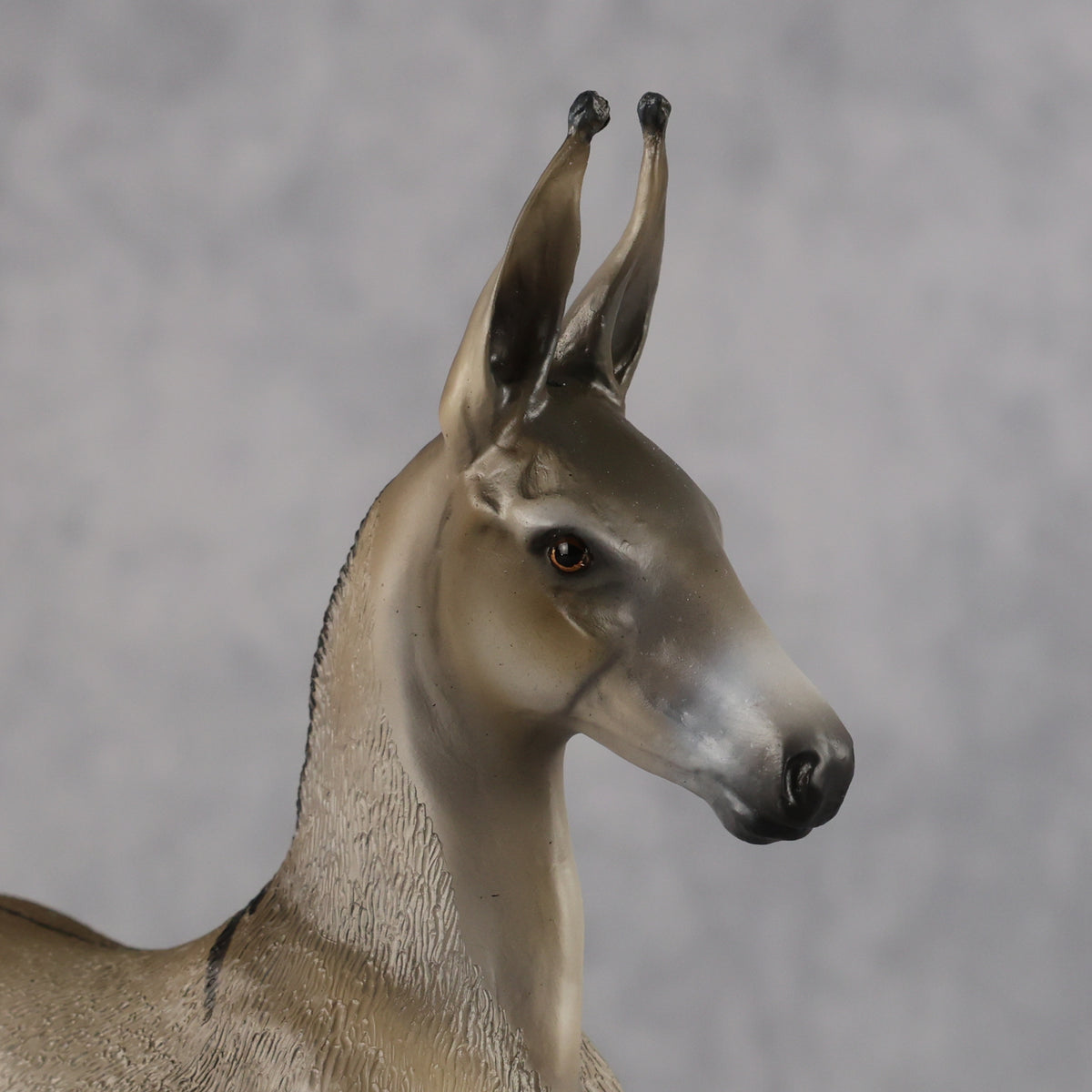 Benedito OOAK EFCM Arab Foal by Kristen Cermele Best Offer 10.13.2026