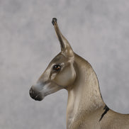 Benedito OOAK EFCM Arab Foal by Kristen Cermele Best Offer 10.13.2026