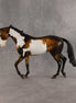 Benjamin OOAK Thoroughbred by Dawn Quick SHCF26