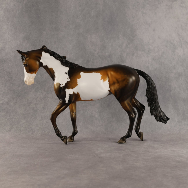 Benjamin OOAK Thoroughbred by Dawn Quick SHCF26