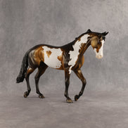 Benjamin OOAK Thoroughbred by Dawn Quick SHCF26