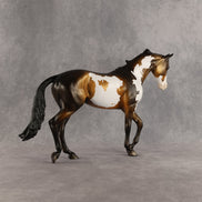 Benjamin OOAK Thoroughbred by Dawn Quick SHCF26