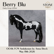 Berry Blu OOAK FCM Andalusian by Anna Rieck DDOOAKs26
