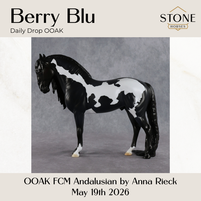 Berry Blu OOAK FCM Andalusian by Anna Rieck DDOOAKs26