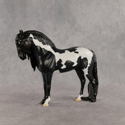 Berry Blu OOAK FCM Andalusian by Anna Rieck DDOOAKs26