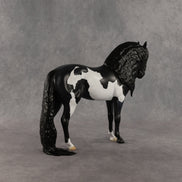 Berry Blu OOAK FCM Andalusian by Anna Rieck DDOOAKs26