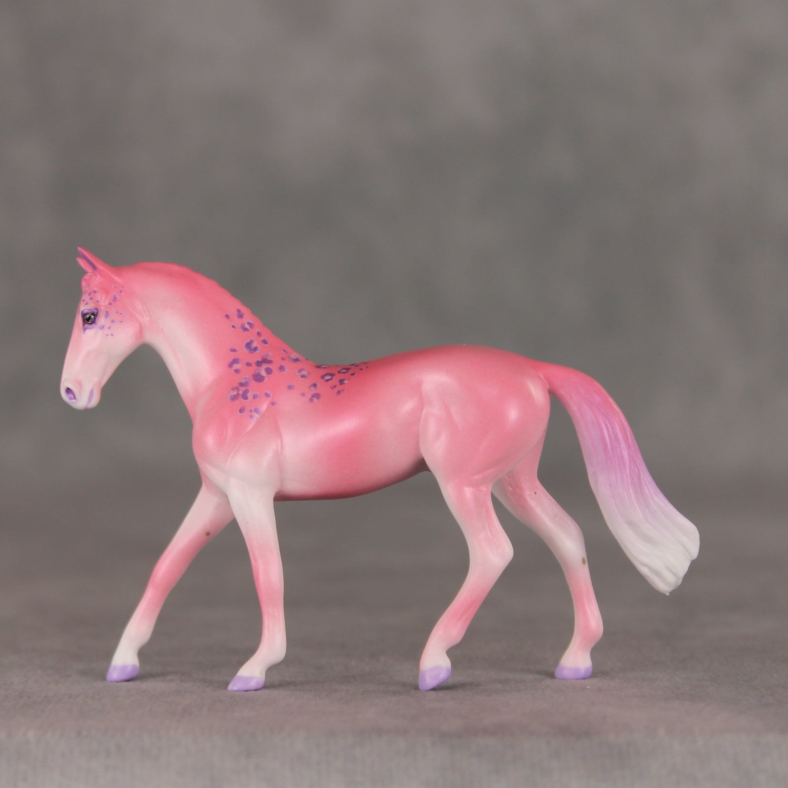 Berry Smoothie OOAK Chip Warmblood by Jess Hamill VV26