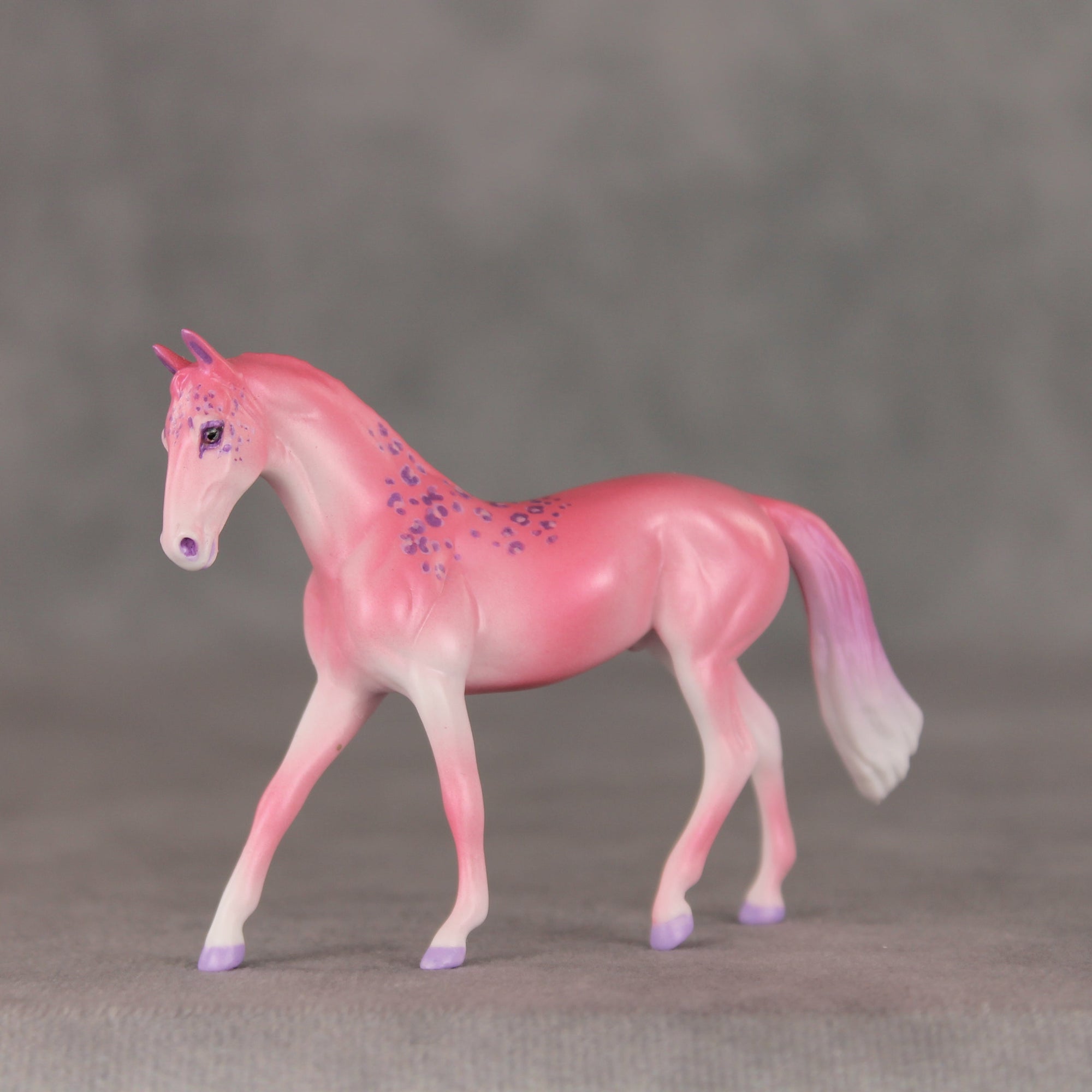 Berry Smoothie OOAK Chip Warmblood by Jess Hamill VV26