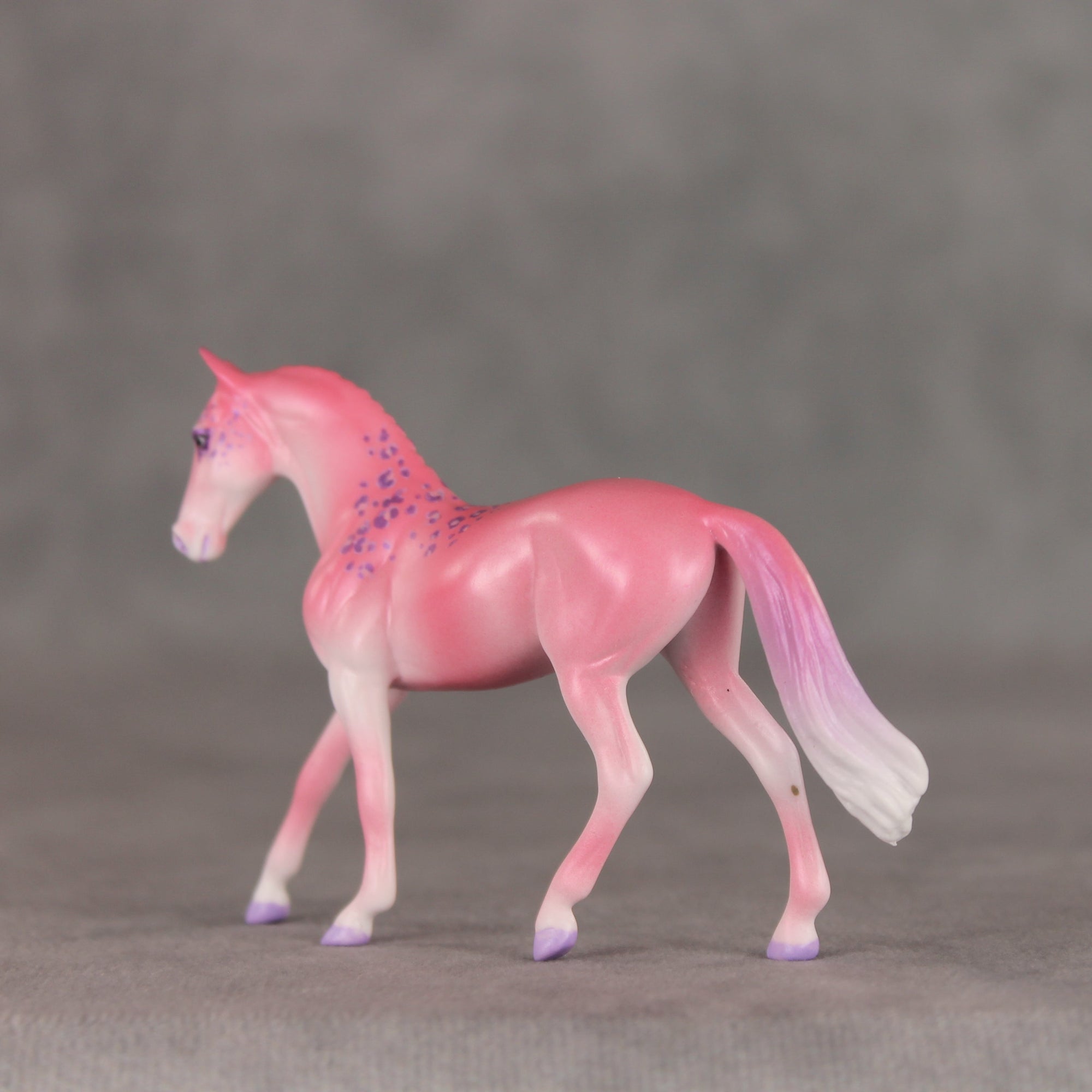 Berry Smoothie OOAK Chip Warmblood by Jess Hamill VV26