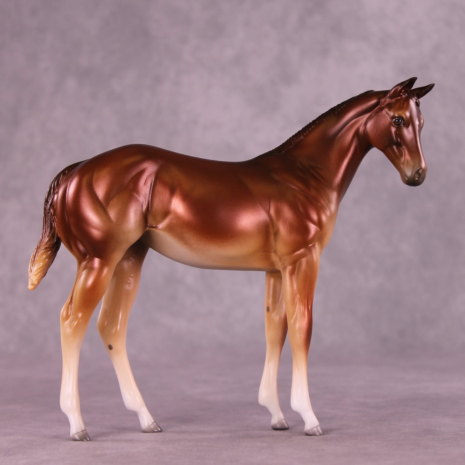 Bertie OOAK Stock Horse Weanling by Jess Hamill MM25 Group D