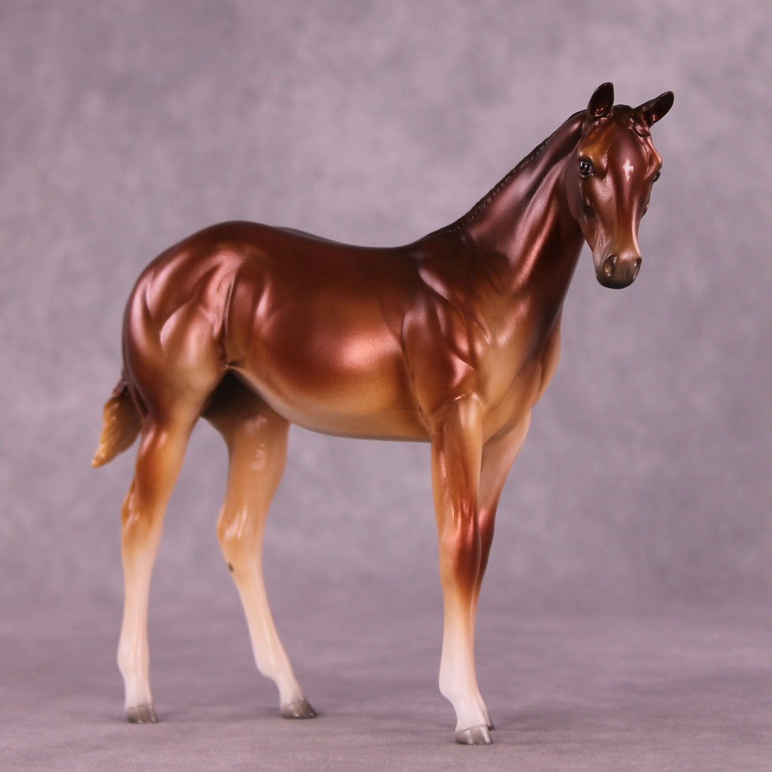 Bertie OOAK Stock Horse Weanling by Jess Hamill MM25 Group D