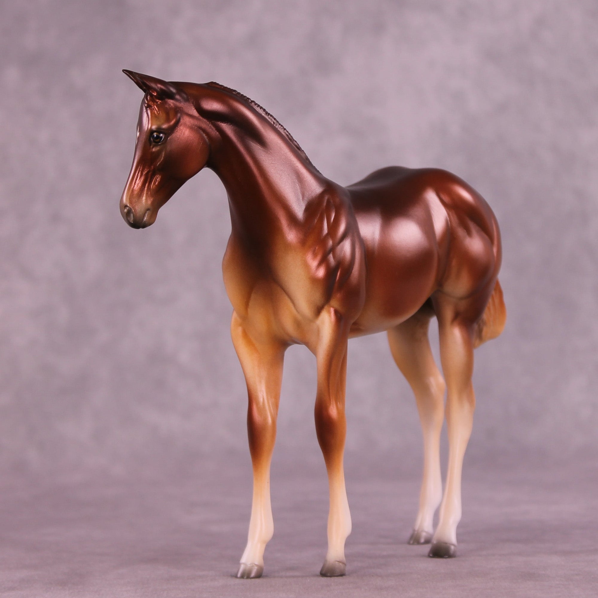 Bertie OOAK Stock Horse Weanling by Jess Hamill MM25 Group D