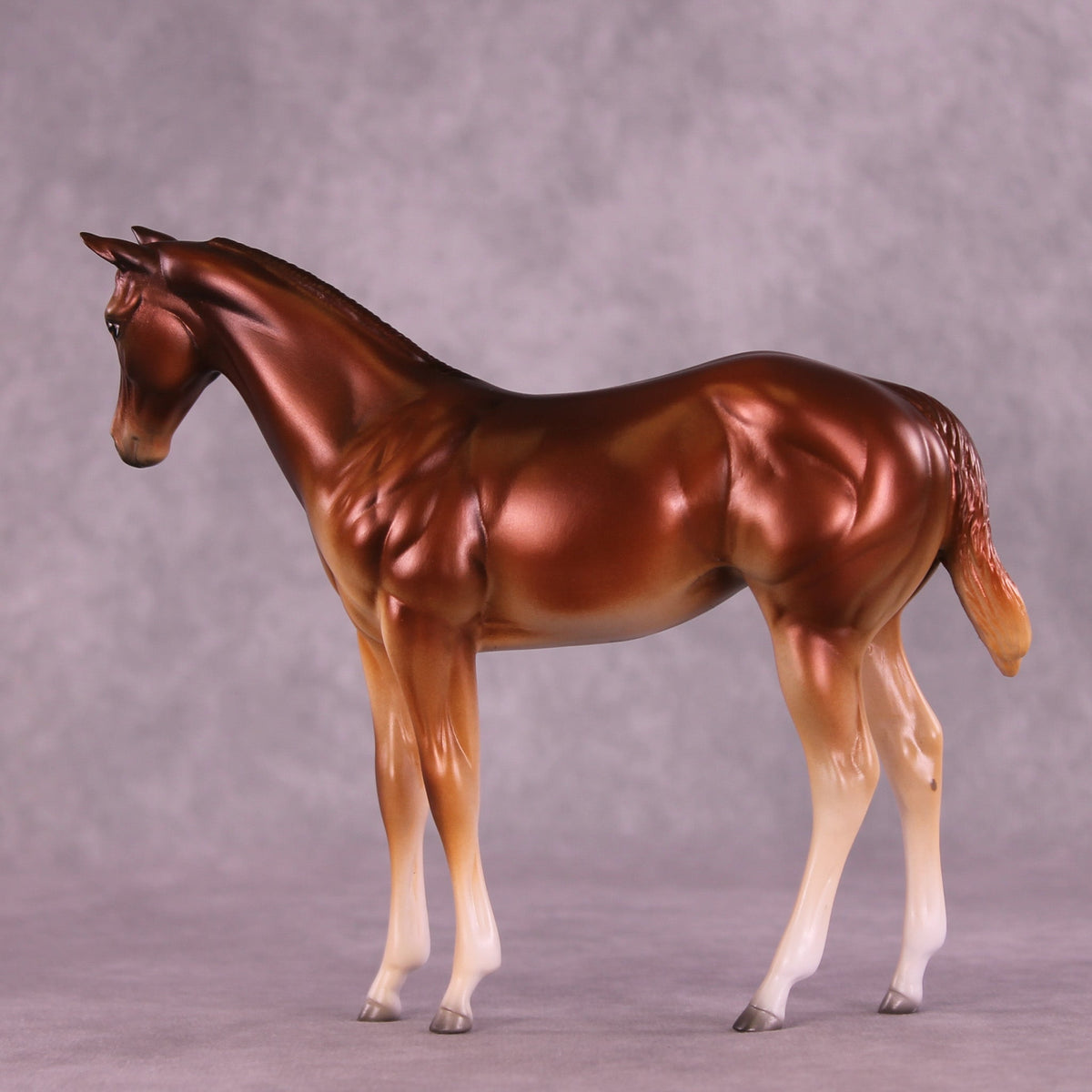 Bertie OOAK Stock Horse Weanling by Jess Hamill MM25 Group D