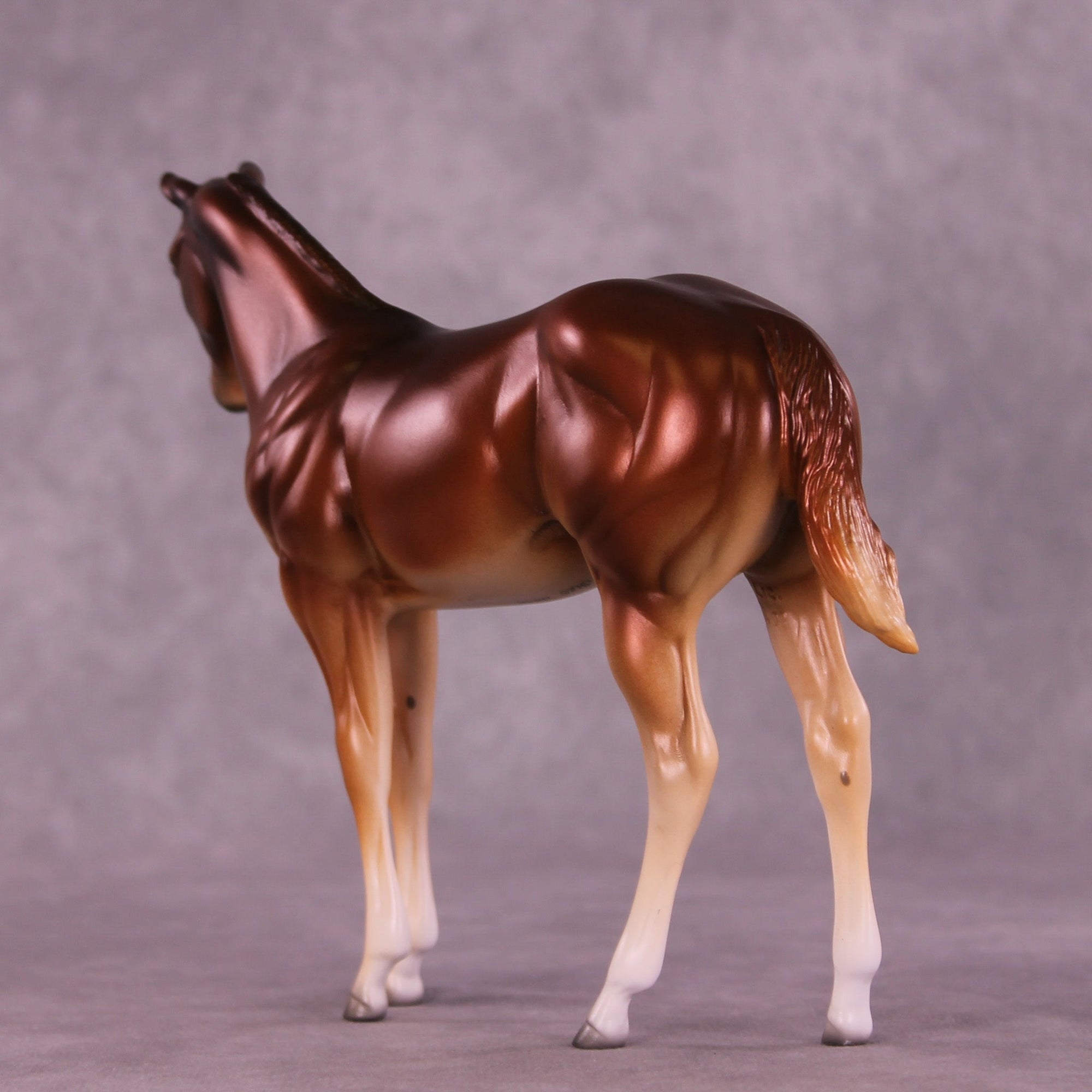 Bertie OOAK Stock Horse Weanling by Jess Hamill MM25 Group D