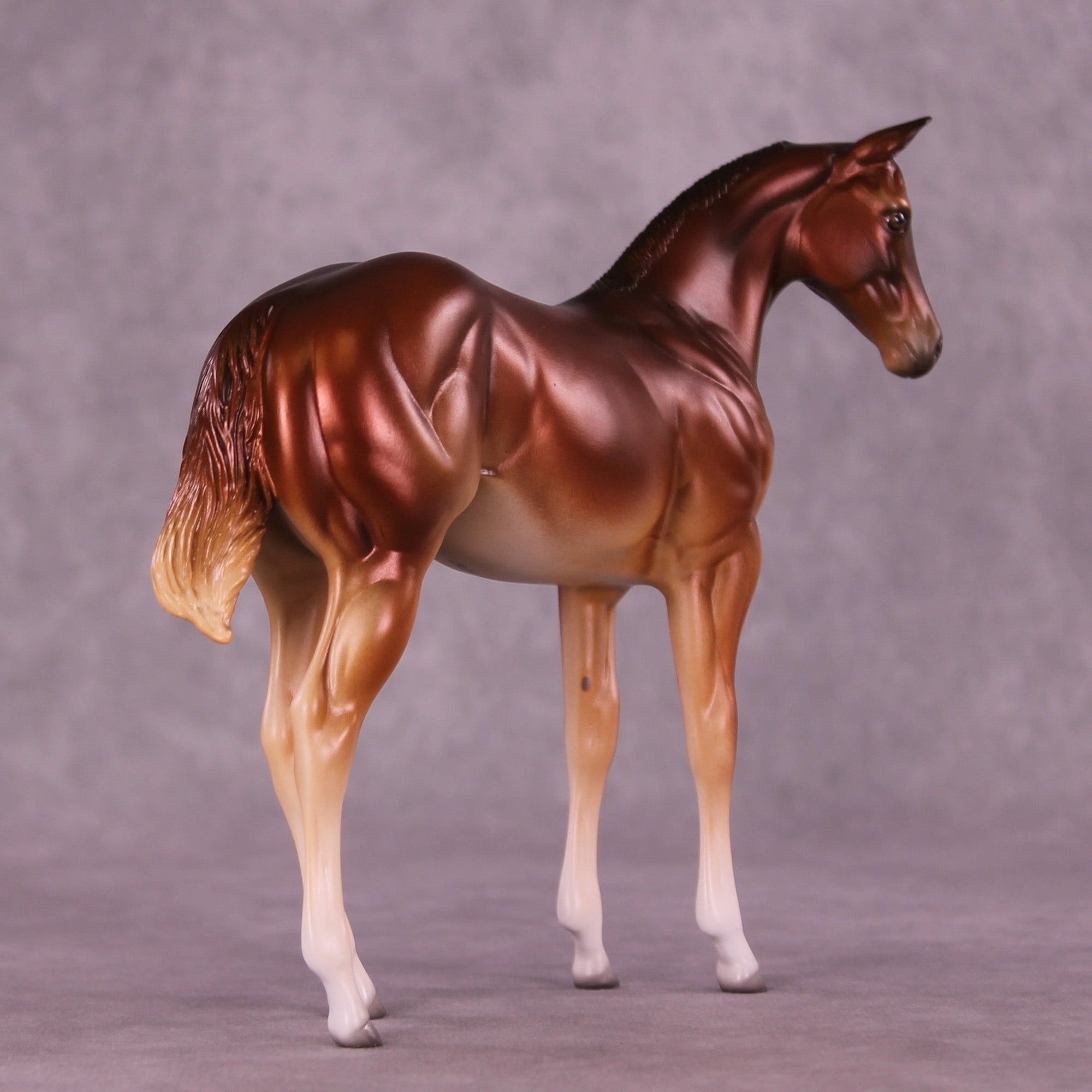 Bertie OOAK Stock Horse Weanling by Jess Hamill MM25 Group D
