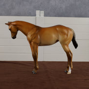 Beverly Peaches OOAK EFCM Stock Horse Weanling by Tiffany Purdy GS26