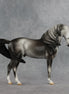 Bingley OOAK FCM Andalusian by Jess Hamill SHCF26