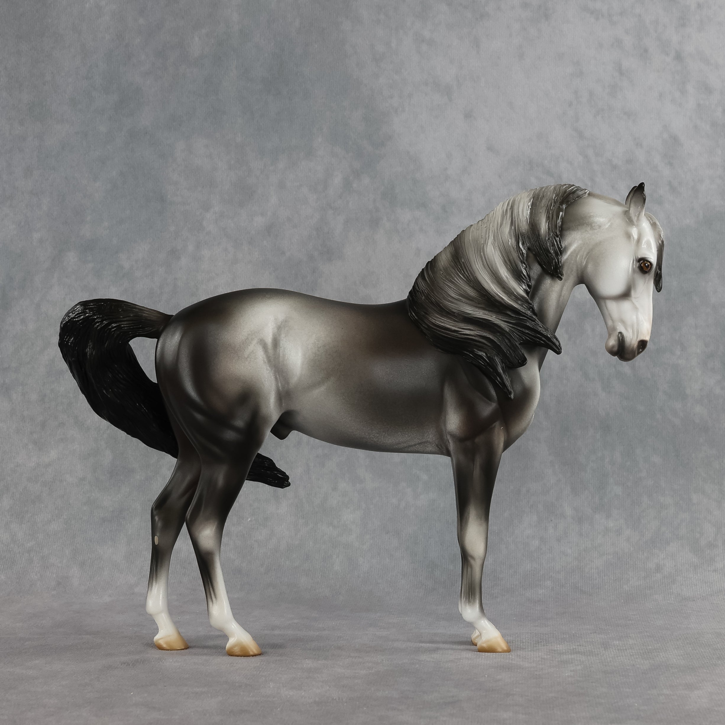 Bingley OOAK FCM Andalusian by Jess Hamill SHCF26