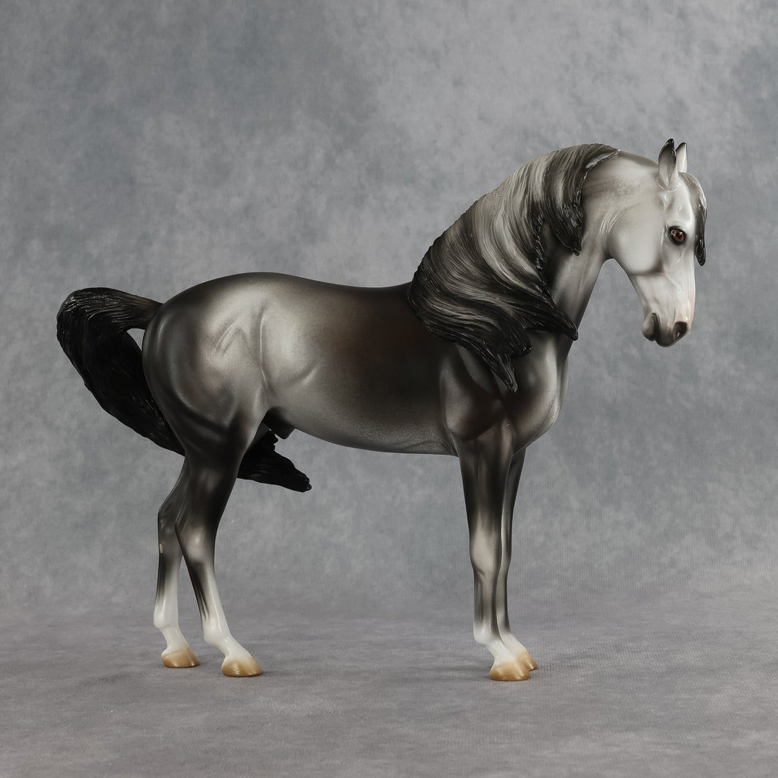 Bingley OOAK FCM Andalusian by Jess Hamill SHCF26